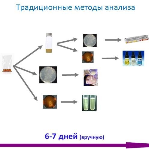 Компания БиоВитрум