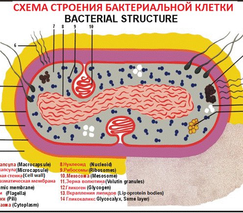 Описание: I:\1-16\1-16 (2\1