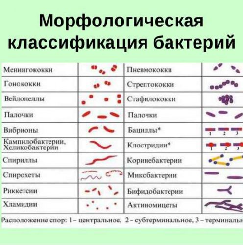 Способы классифицирования