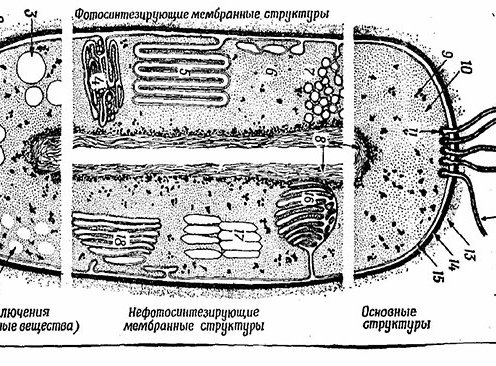 Комбинированное схематическое