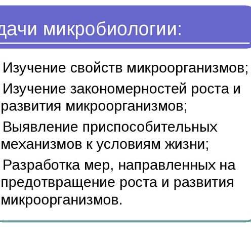 Основные разделы