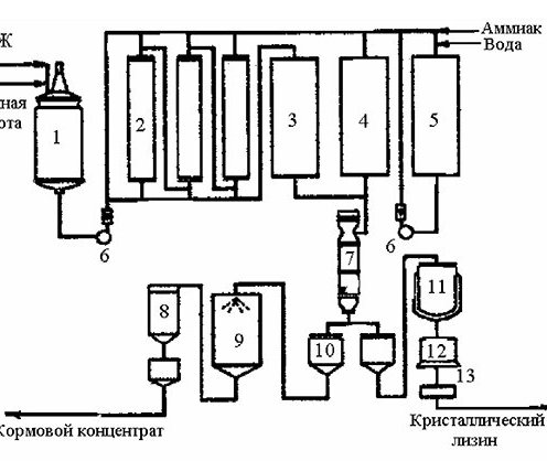 Промышленная микробиология. Производство аминокислот Технологическая схема