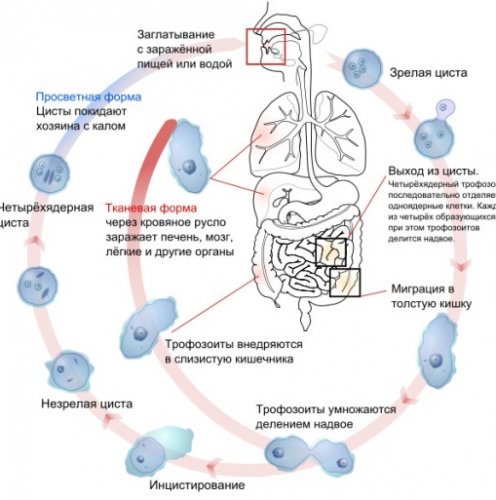 Http://gepaten.ru/wp-content/