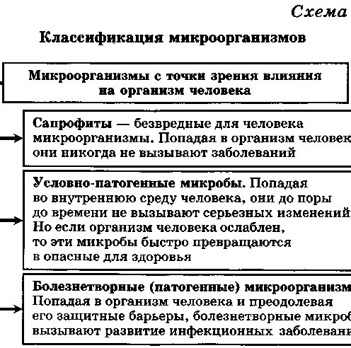 Урок 21. Основные инфекционные заболевания. Классификация, пути Image
