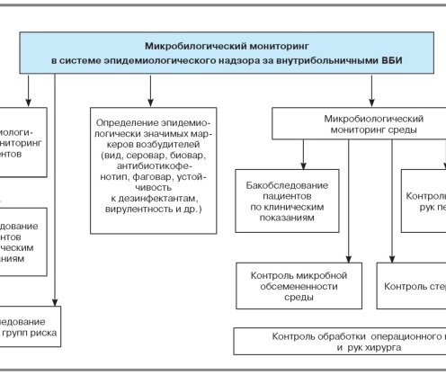 Схема микробиологического