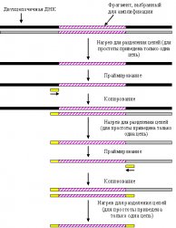 b_320_200_16777215_00_Pics_paper8_fig1.gif