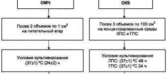 Методические Рекомендации по Микробиологии