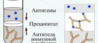 Реакция Агглютинации Микробиология