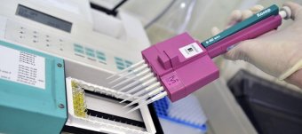 Современные Направления Развития Микробиологии