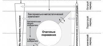 Зоонозные Инфекции Микробиология