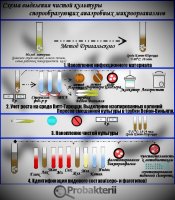 Схема выделения чистой культуры анаэробных микроорганизмов