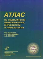 Скачать бесплатно книгу