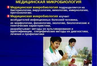 Медицинская Микробиология Бесплатно