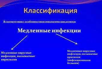 Медленные Инфекции Микробиология