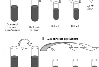 Метод Серийных Разведений Микробиология