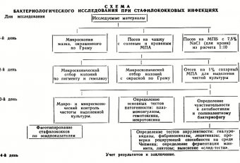 Методы Диагностики Микробиология