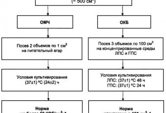 Методические Рекомендации по Микробиологии