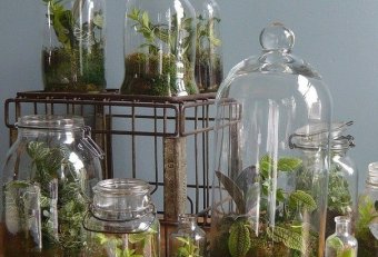 Микробиология Растений