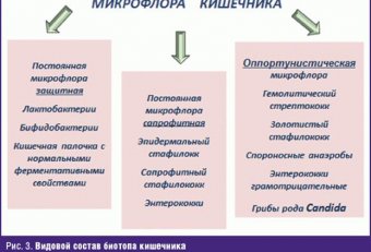 Микрофлора Окружающей Среды Микробиология
