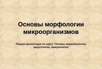 Отрасли Микробиологии