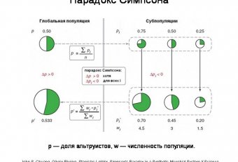 Популяция в Микробиологии это