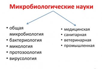 Предмет Медицинской Микробиологии