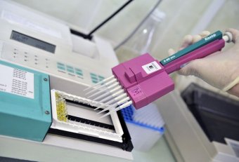 Современные Направления Развития Микробиологии