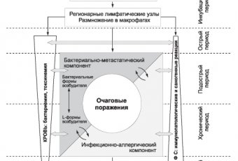 Зоонозные Инфекции Микробиология